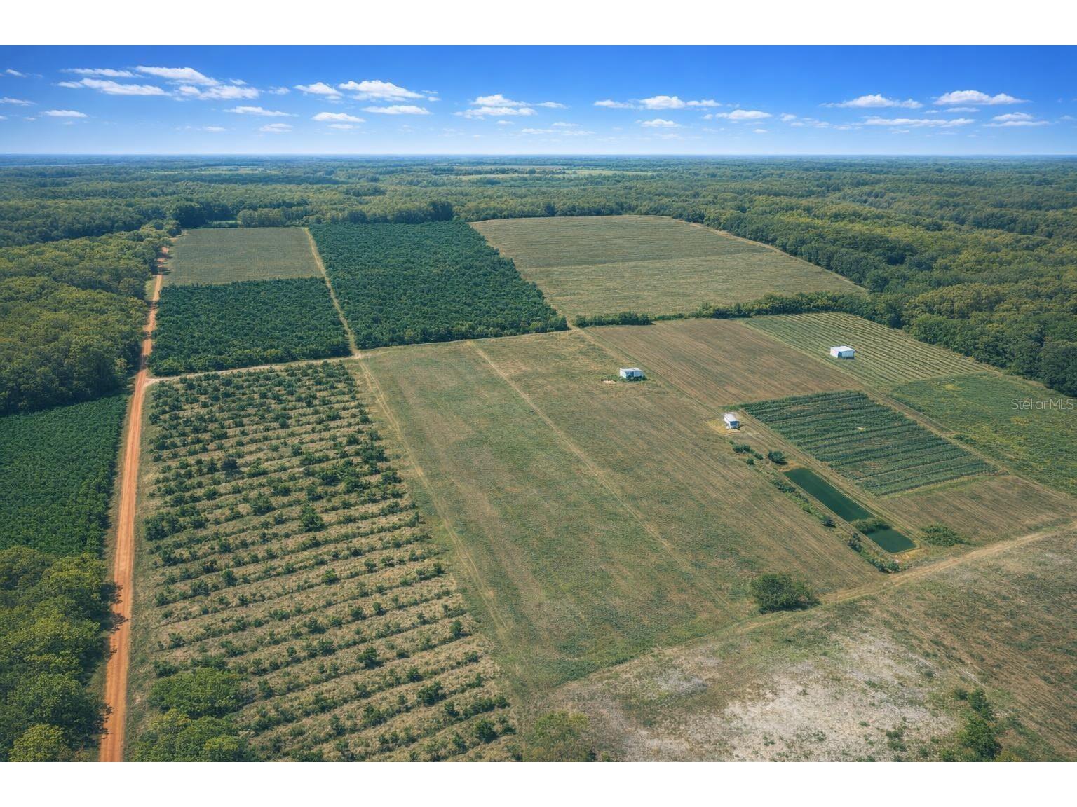 900 Buffum Church Road Fort Meade FL 33841 TB8505492 image9