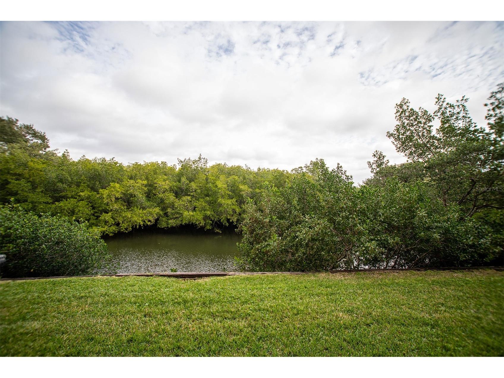 900 Cove Cay Drive #1D Clearwater FL 33760 - INLET TO TAMPA BAY TB8467291 image1