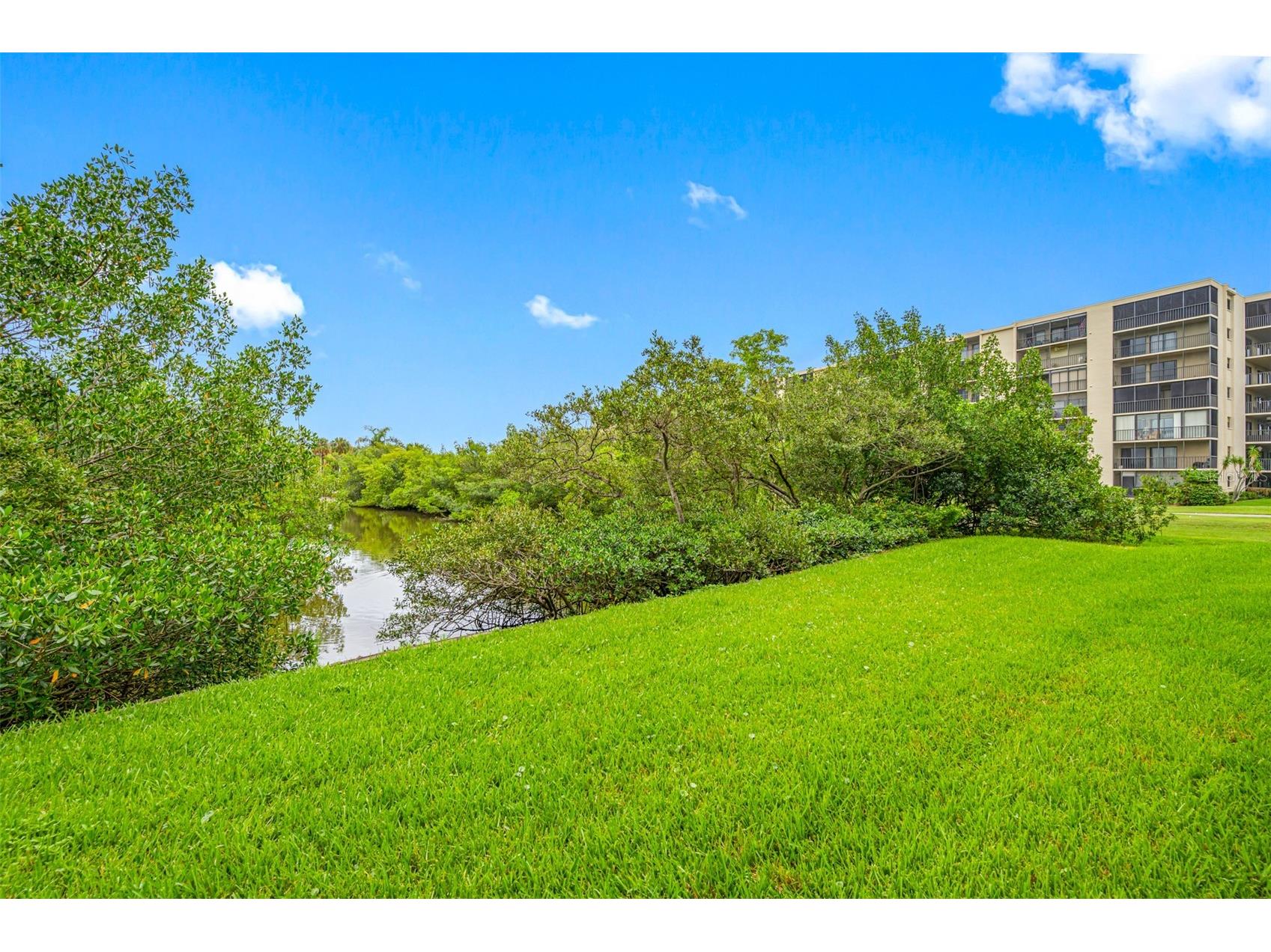 900 Cove Cay Drive #1F Clearwater FL 33760 TB8516894 image1