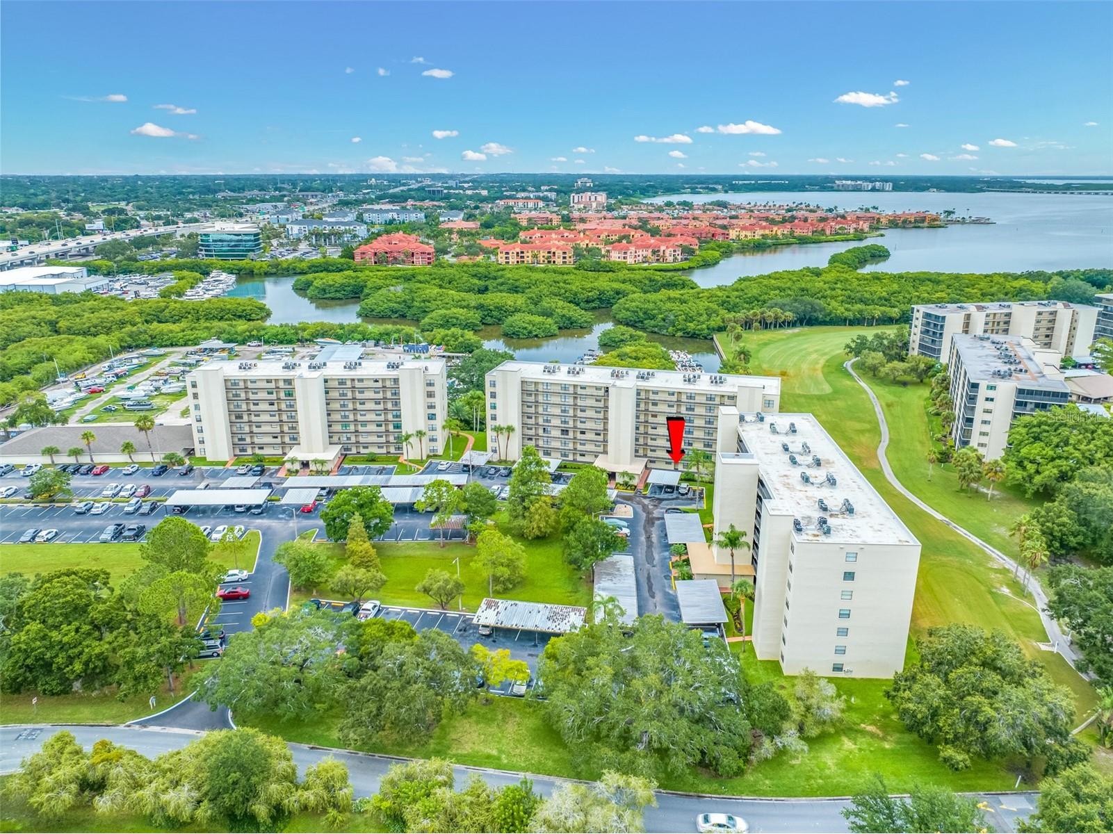 900 Cove Cay Drive #1F Clearwater FL 33760 TB8516894 image43
