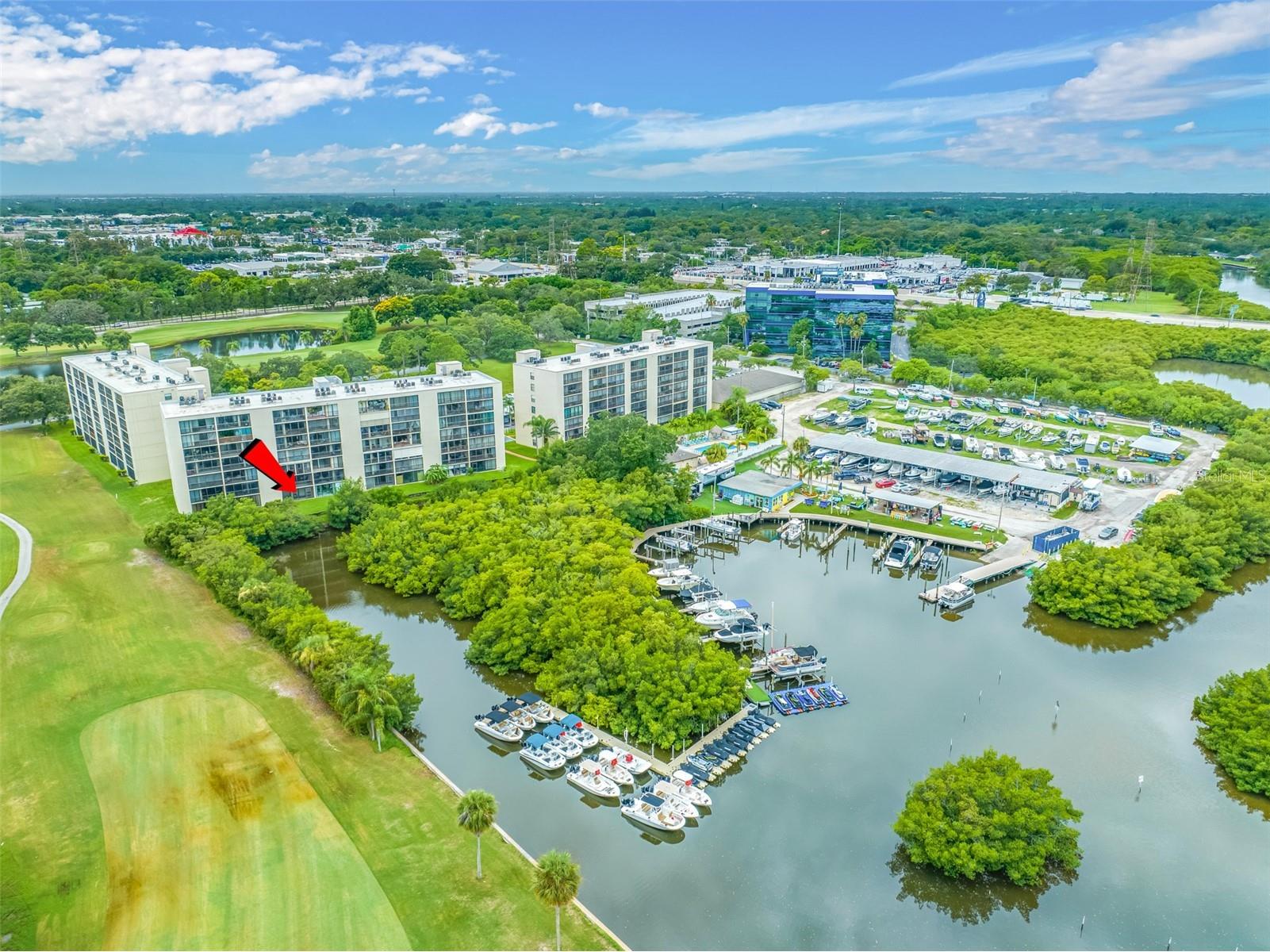 900 Cove Cay Drive #1F Clearwater FL 33760 TB8516894 image47