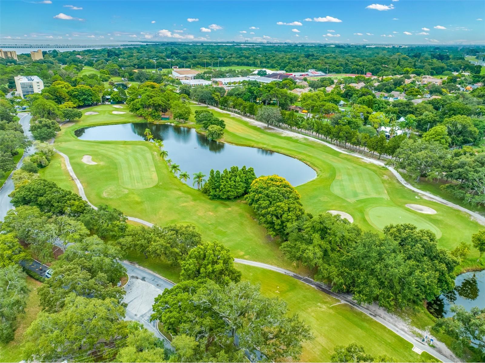 900 Cove Cay Drive #1F Clearwater FL 33760 TB8516894 image54
