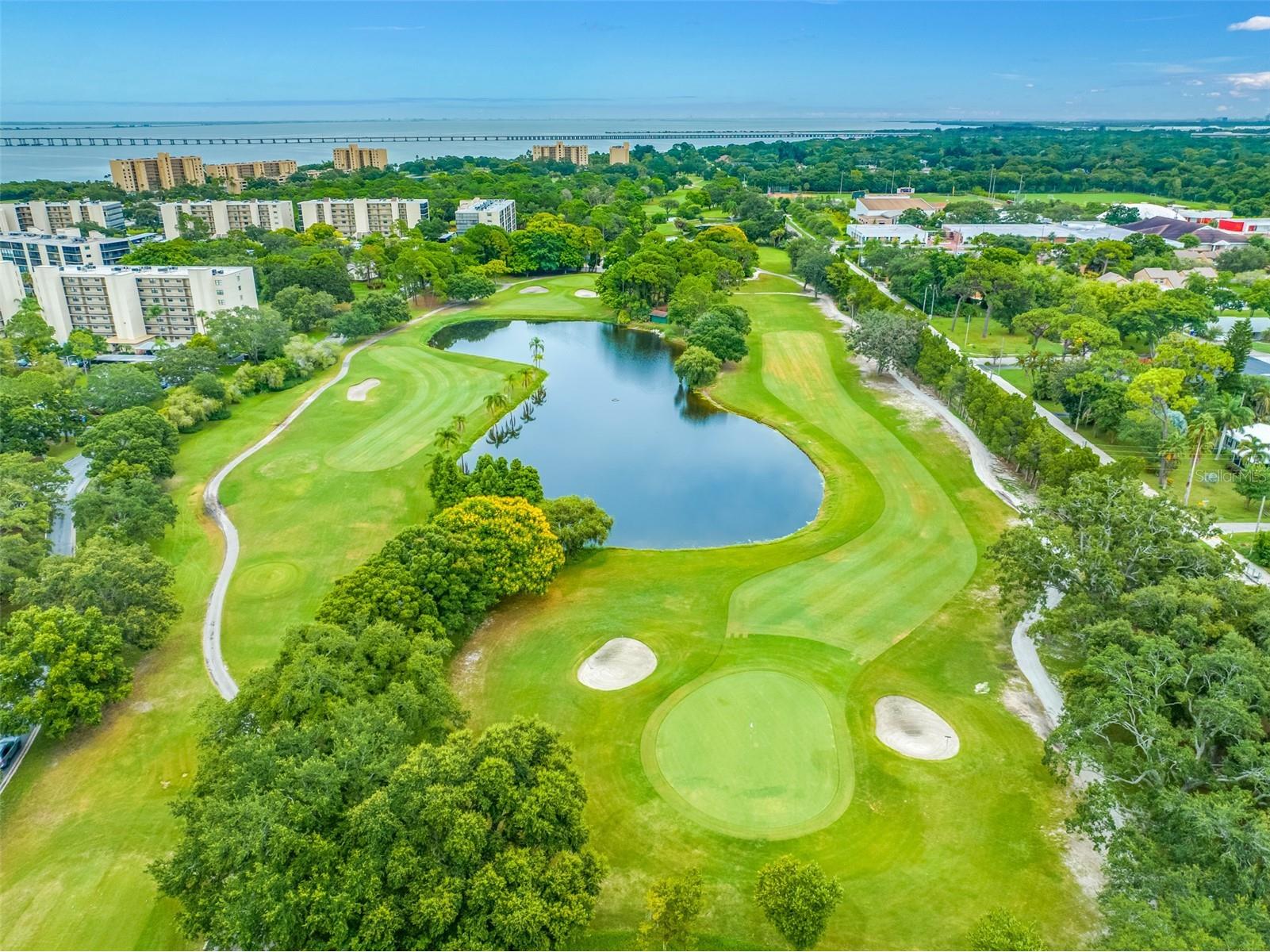 900 Cove Cay Drive #1F Clearwater FL 33760 TB8516894 image55