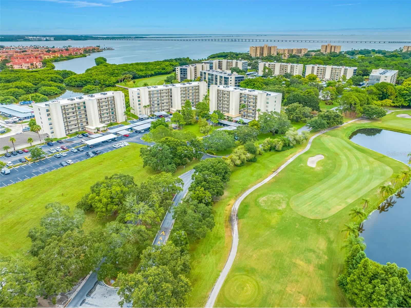900 Cove Cay Drive #1F Clearwater FL 33760 TB8516894 image56