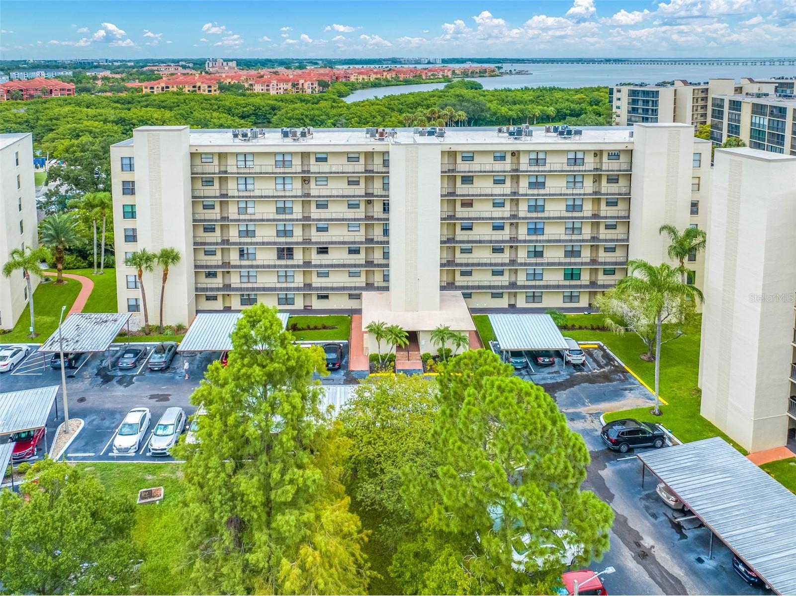 900 Cove Cay Drive #1F Clearwater FL 33760 TB8516894 image58
