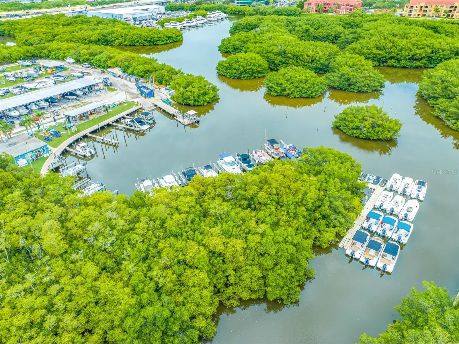 900 Cove Cay Drive #1F Clearwater FL 33760 TB8516894 image61