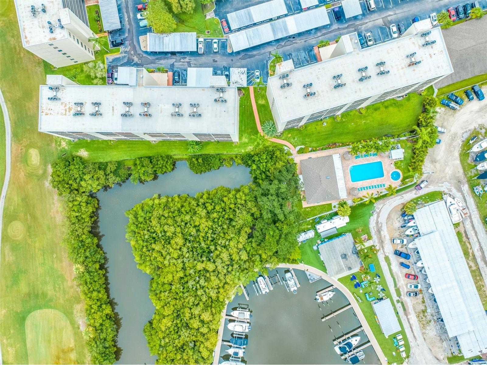 900 Cove Cay Drive #1F Clearwater FL 33760 TB8516894 image69