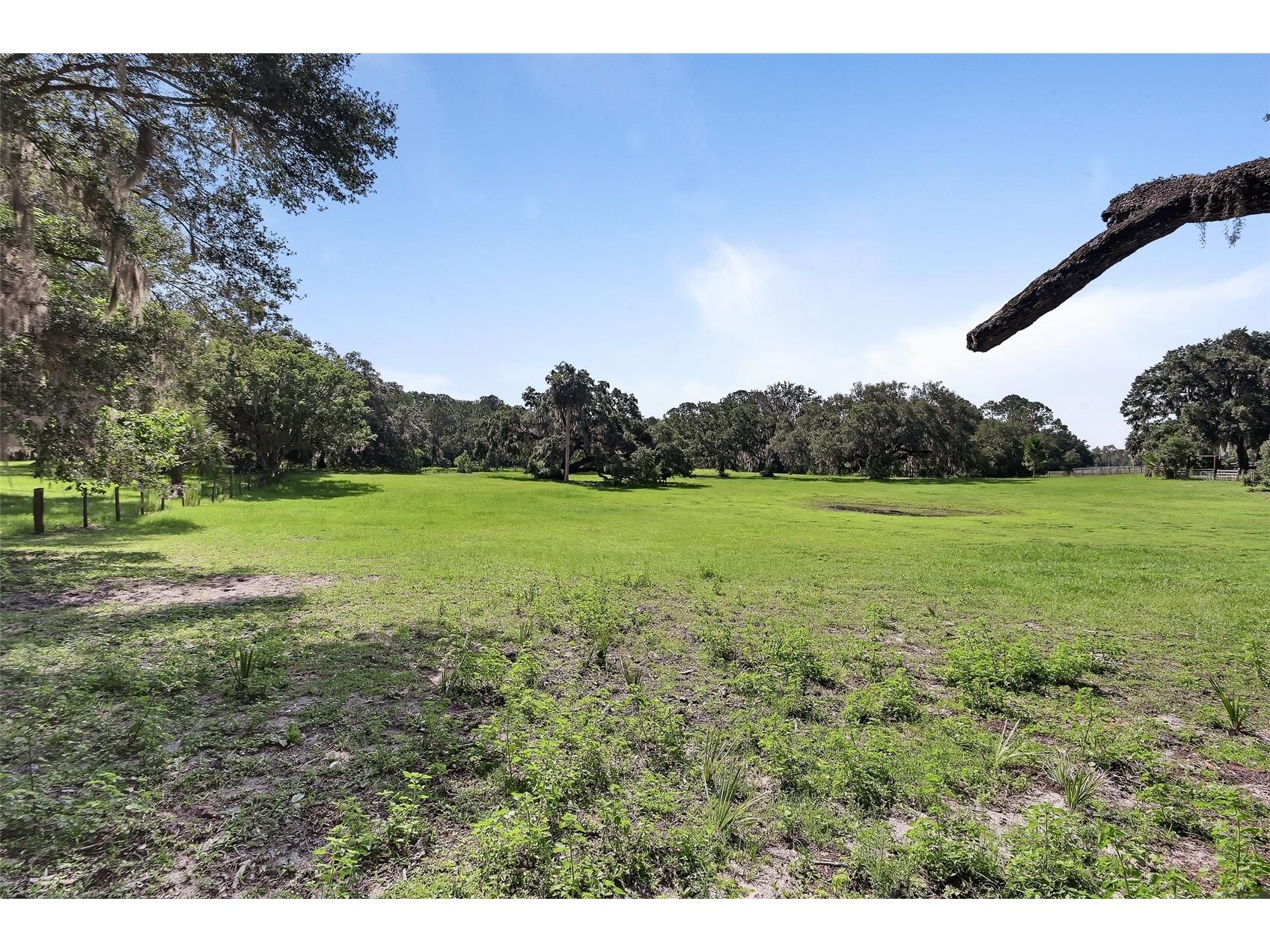 900 E Kicklighter ( 15+/- Acres) Road Lake Helen FL 32744 V4949979 image43