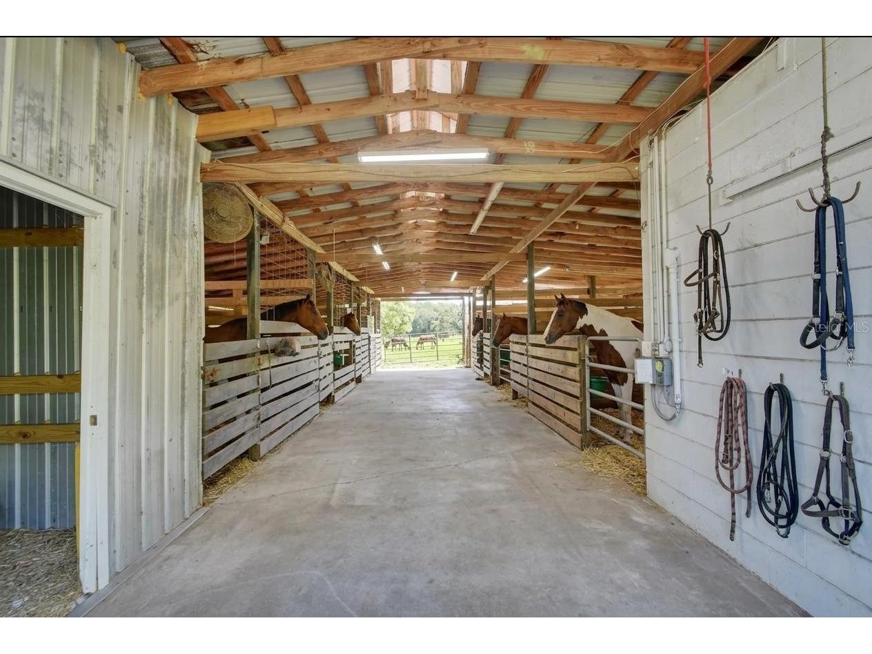 900 E Kicklighter (5 +- Acres) Road Lake Helen FL 32744 V4950017 image31