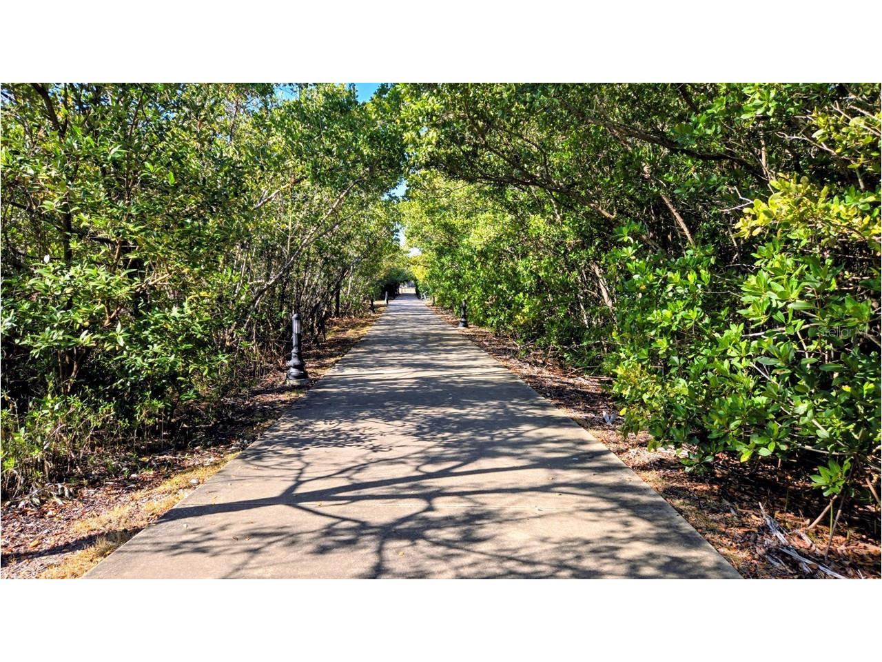 900 E Marion Avenue #1201 Punta Gorda FL 33950 O6382116 image59