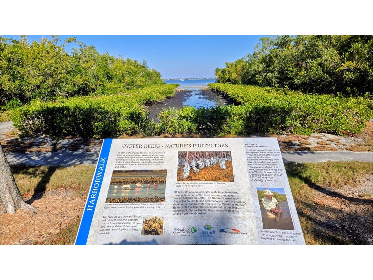 900 E Marion Avenue #1201 Punta Gorda FL 33950 O6382116 image60