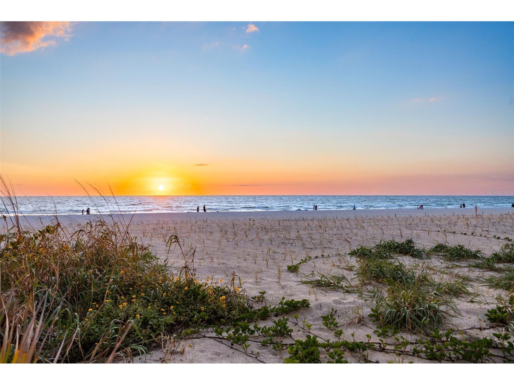 900 Gulf Blvd #104 Indian Rocks Beach FL 33785 - GULF OF AMERICA/GULF OF MEXICO TB8505809 image27