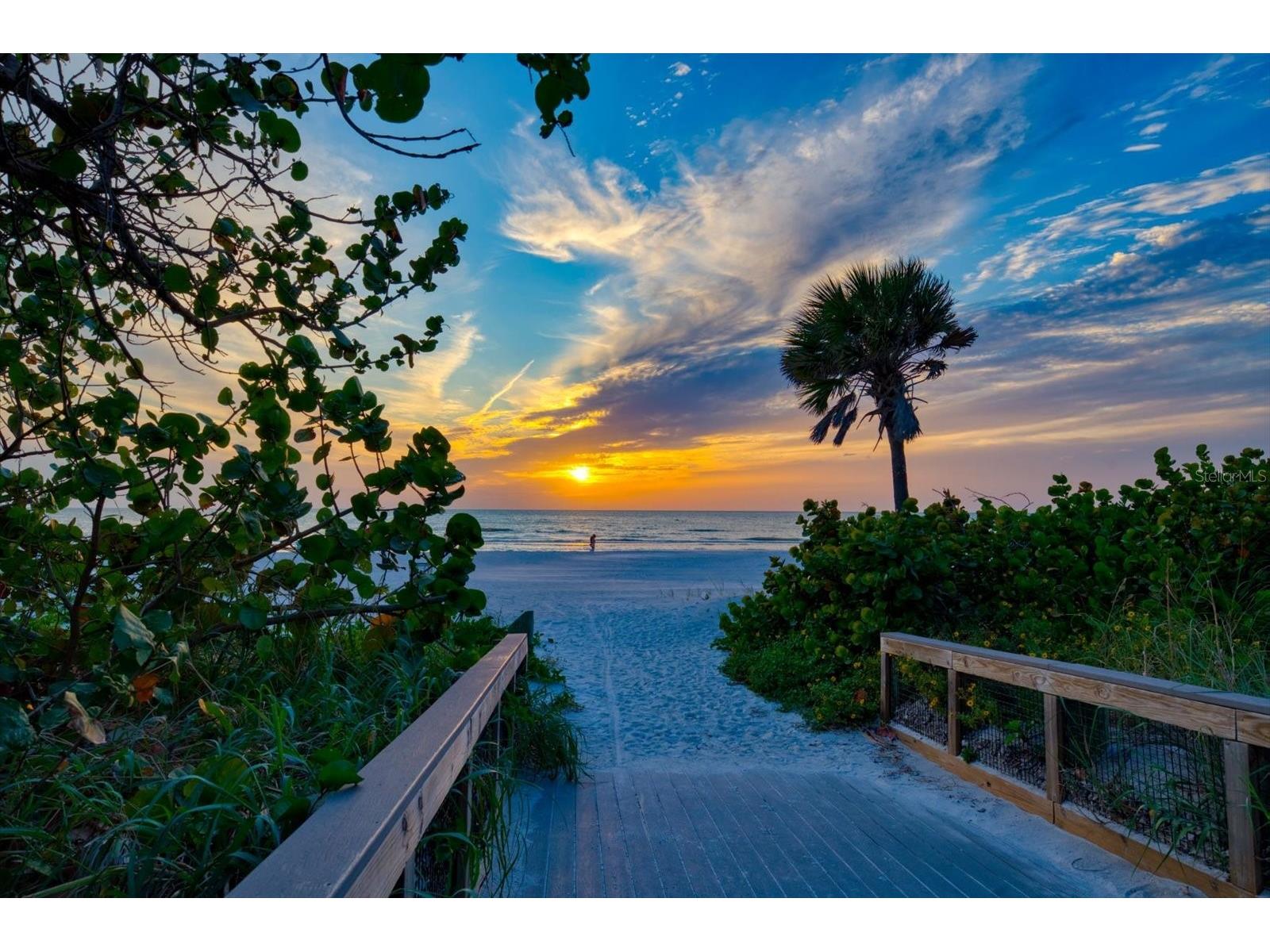 900 Gulf Boulevard #204 Indian Rocks Beach FL 33785 TB8501746 image35