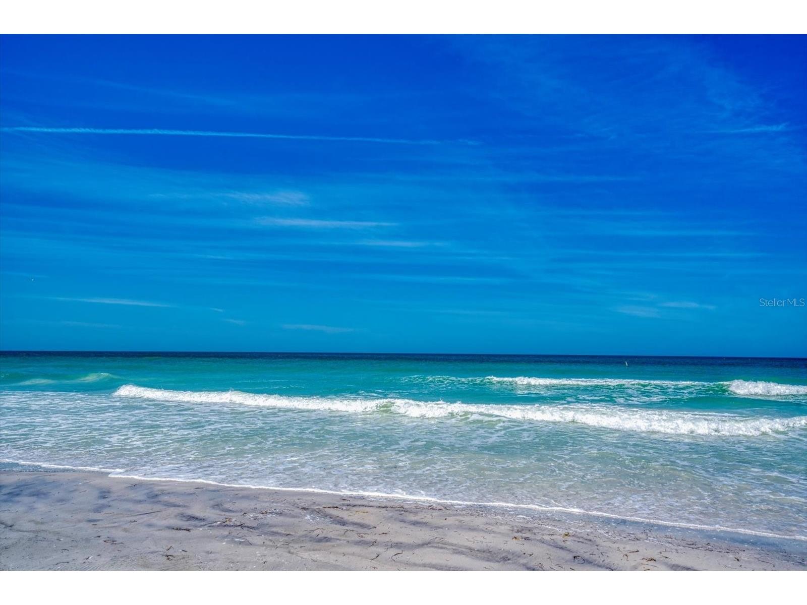 900 Gulf Boulevard #204 Indian Rocks Beach FL 33785 TB8501746 image48