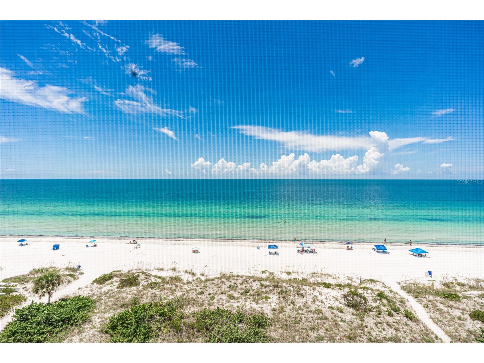 900 Gulf Boulevard #702 Indian Rocks Beach FL 33785 - GULF OF MEXICO TB8493729 image4