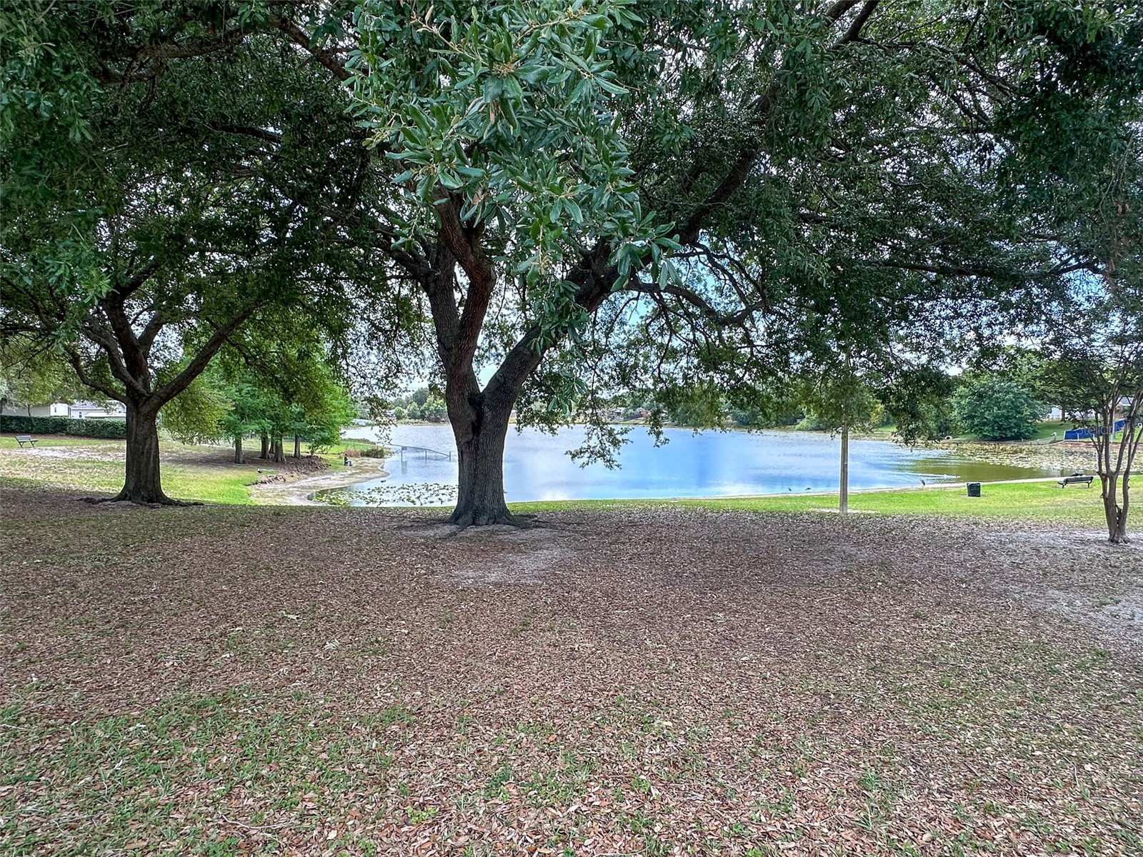 900 Jamela Drive Ocoee FL 34761 O6402989 image30