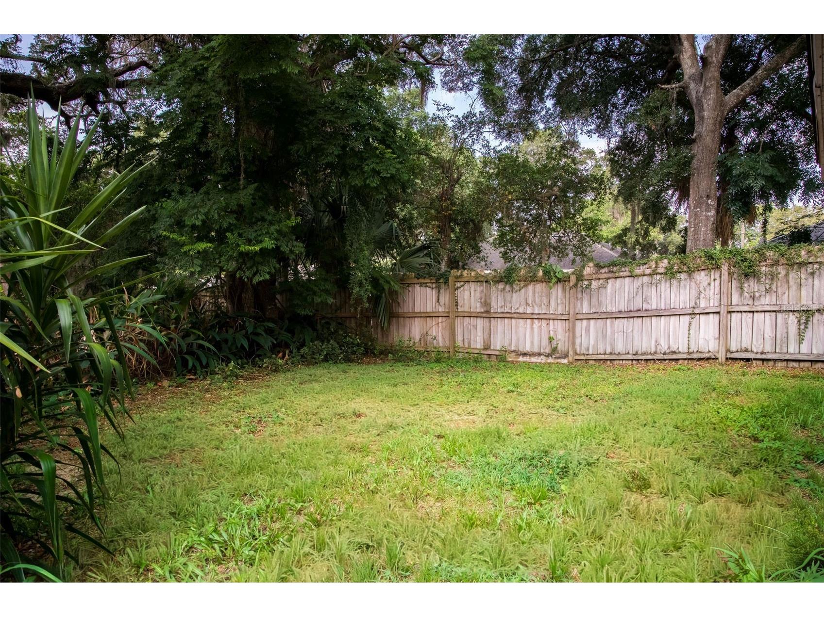 900 Kentucky Boulevard Eustis FL 32726 G5114483 image5