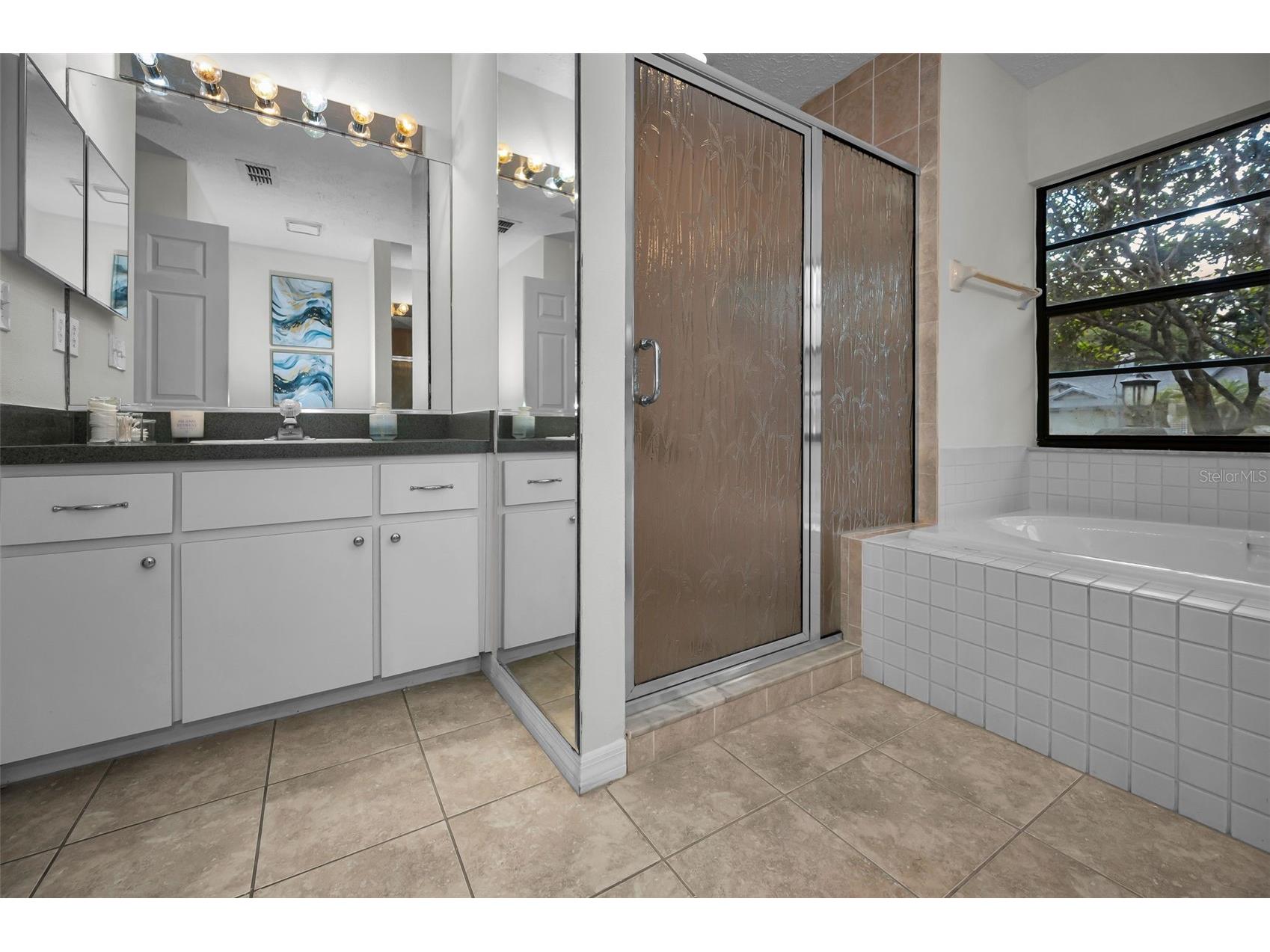 900 Lucas Lane Oldsmar FL 34677 TB8527577 image12