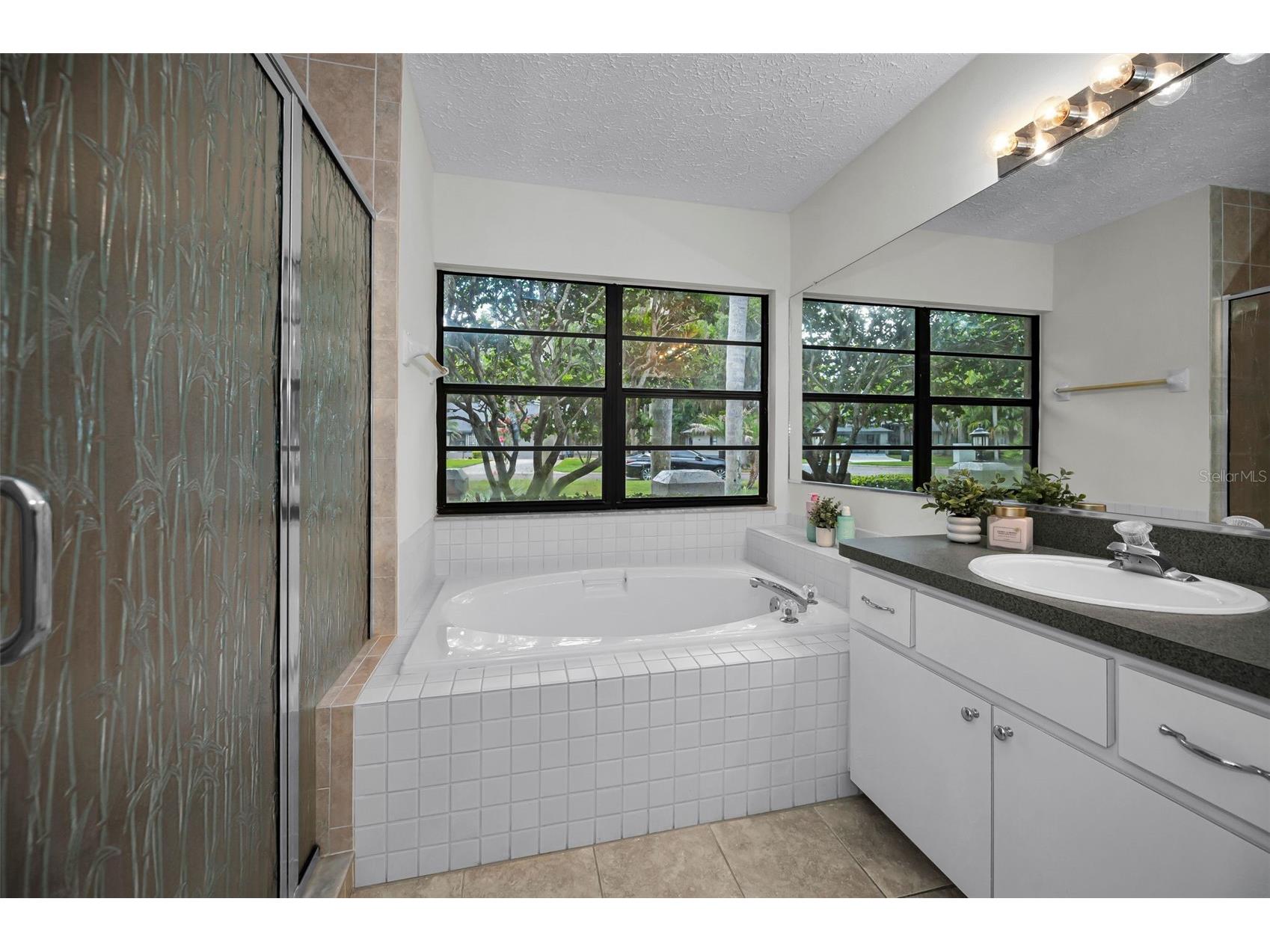900 Lucas Lane Oldsmar FL 34677 TB8527577 image14