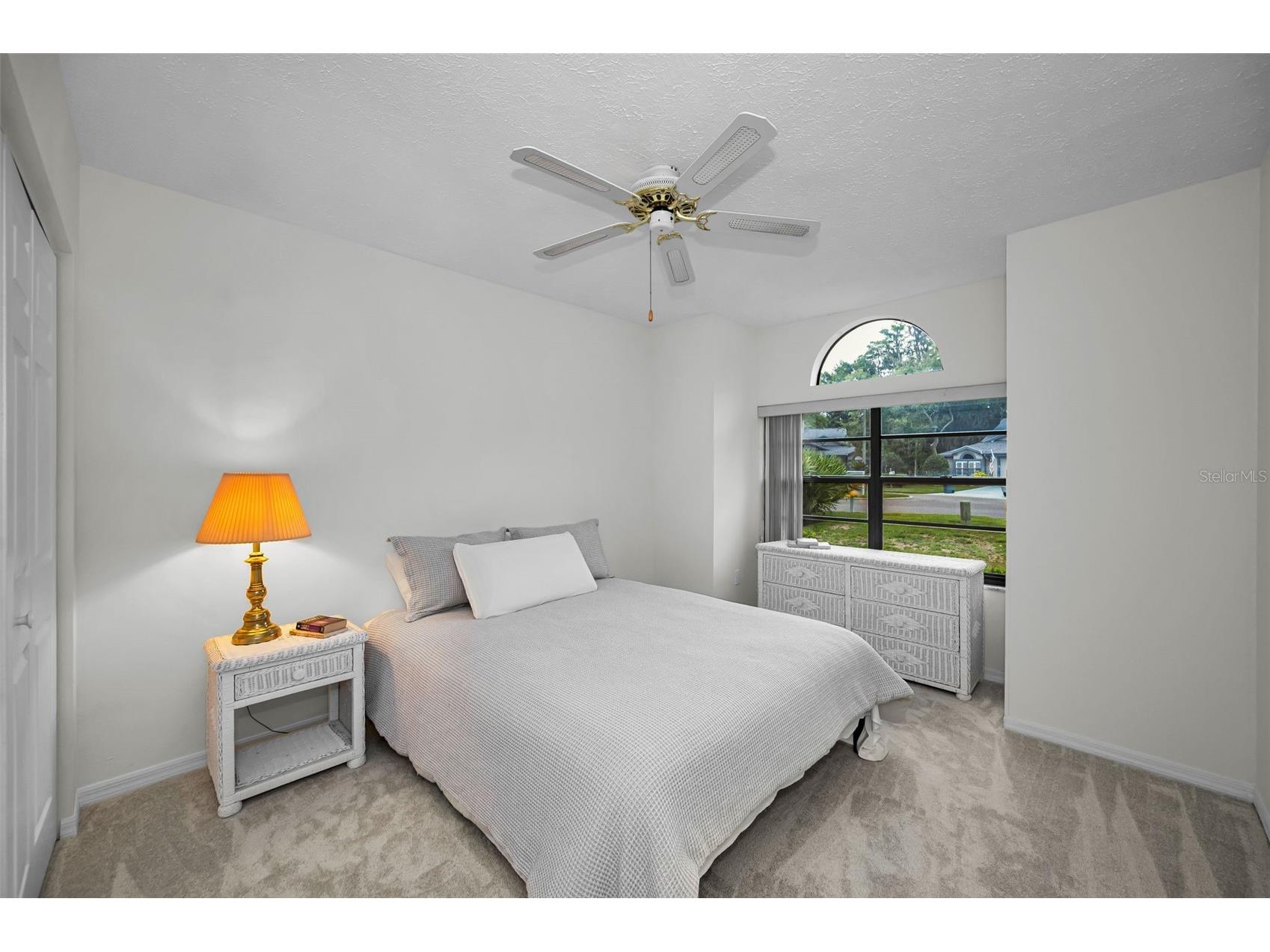 900 Lucas Lane Oldsmar FL 34677 TB8527577 image15