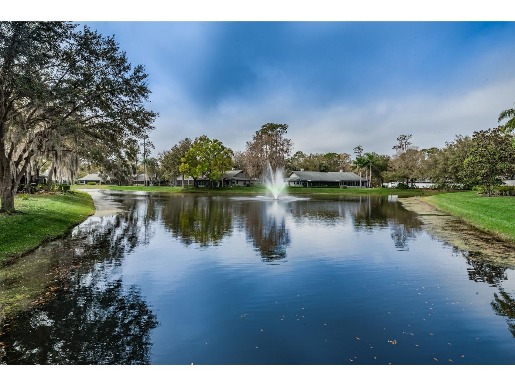 900 Lucas Lane Oldsmar FL 34677 TB8527577 image21
