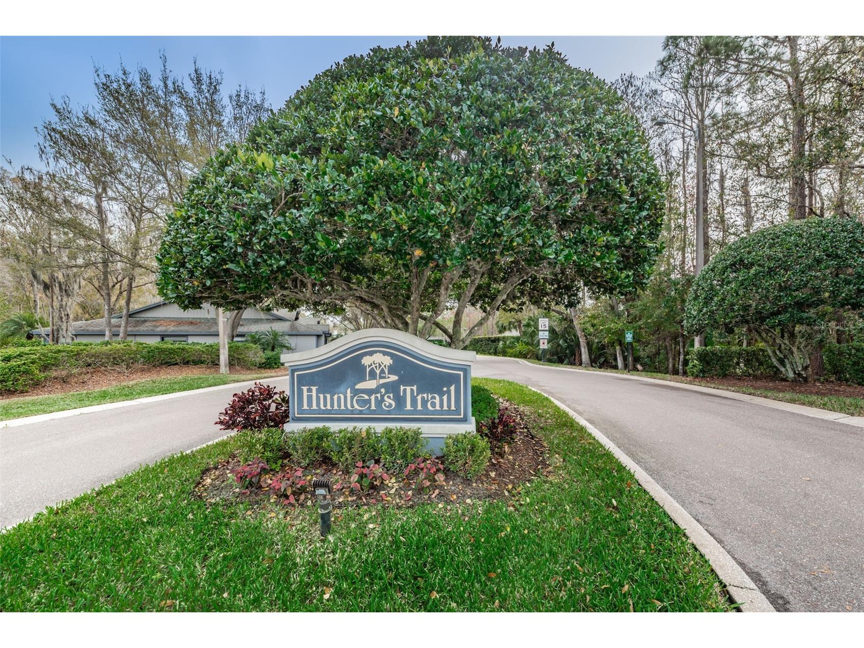900 Lucas Lane Oldsmar FL 34677 TB8527577 image25