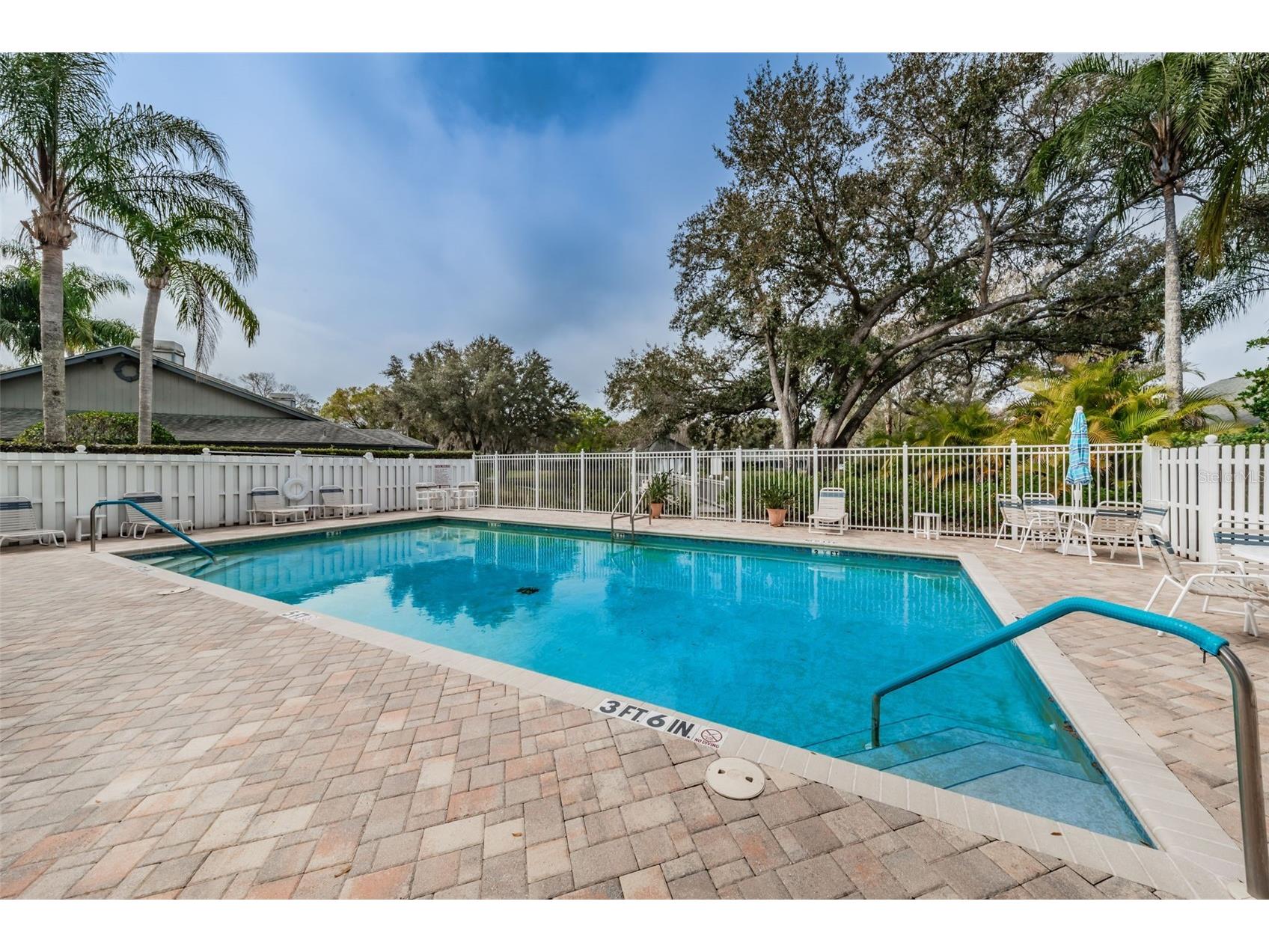 900 Lucas Lane Oldsmar FL 34677 TB8527577 image26