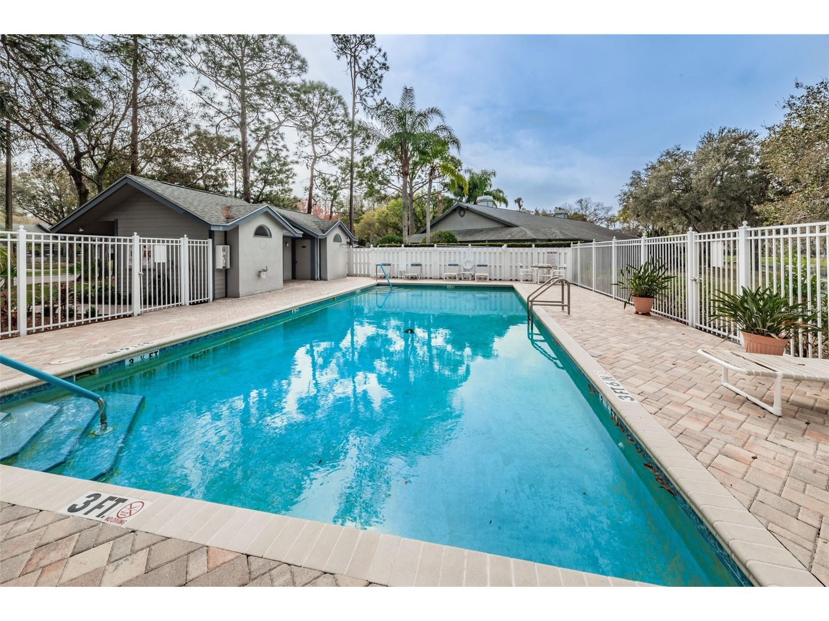 900 Lucas Lane Oldsmar FL 34677 TB8527577 image27