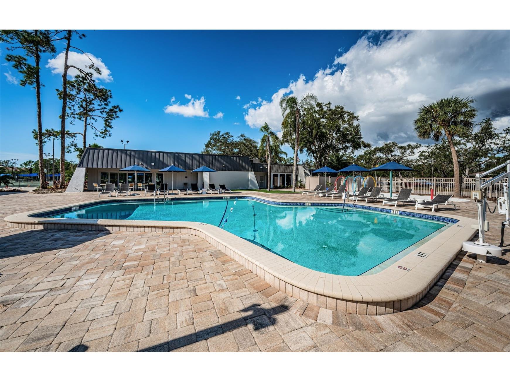 900 Lucas Lane Oldsmar FL 34677 TB8527577 image36