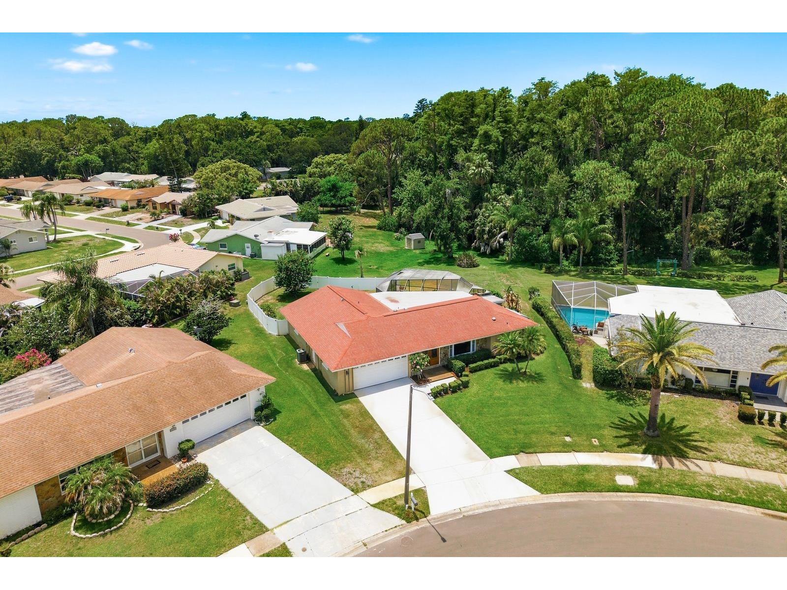 900 Mainsail Way Palm Harbor FL 34685 TB8521834 image28