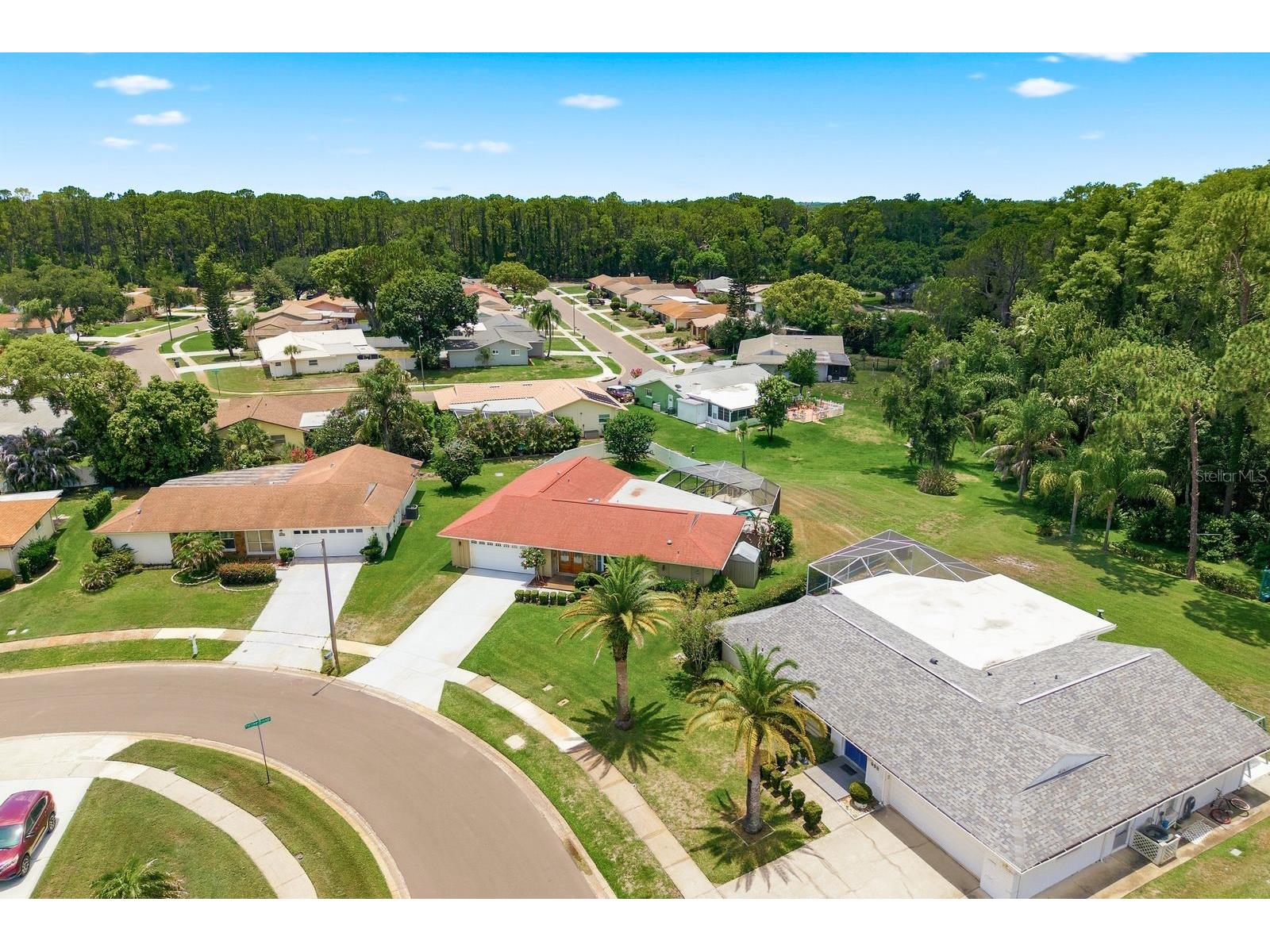 900 Mainsail Way Palm Harbor FL 34685 TB8521834 image29