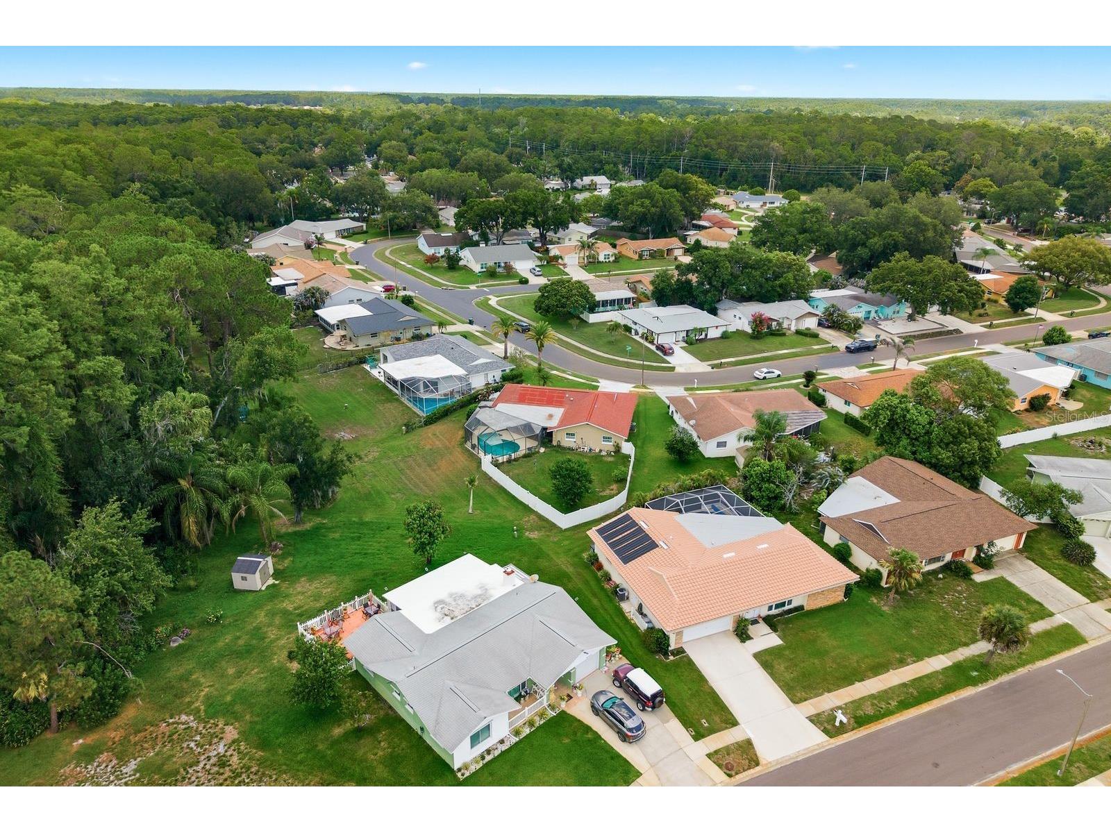900 Mainsail Way Palm Harbor FL 34685 TB8521834 image31