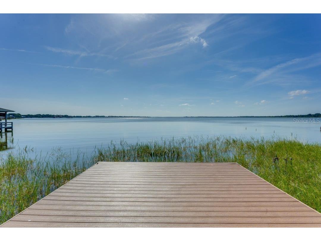 900 N Harbor Terrace Tavares FL 32778 - LAKE DORA O6333934 image44