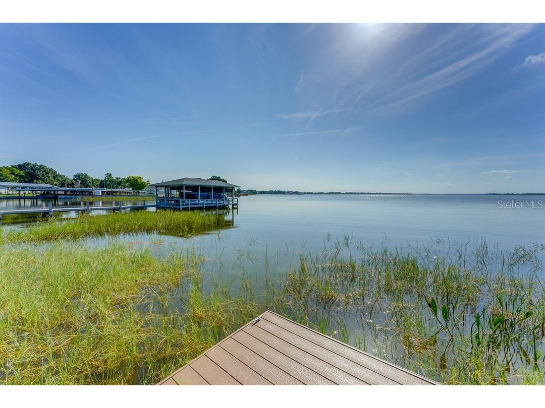 900 N Harbor Terrace Tavares FL 32778 - LAKE DORA O6333934 image45
