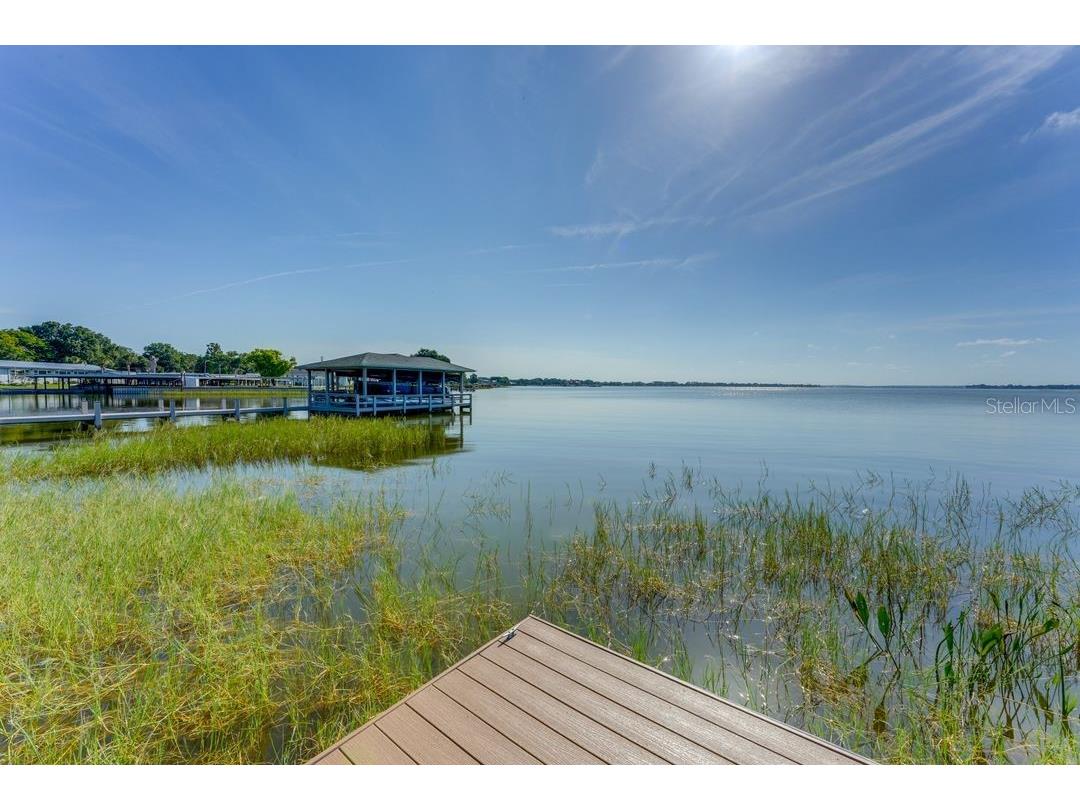 900 N Harbor Terrace Tavares FL 32778 - LAKE DORA O6333934 image56