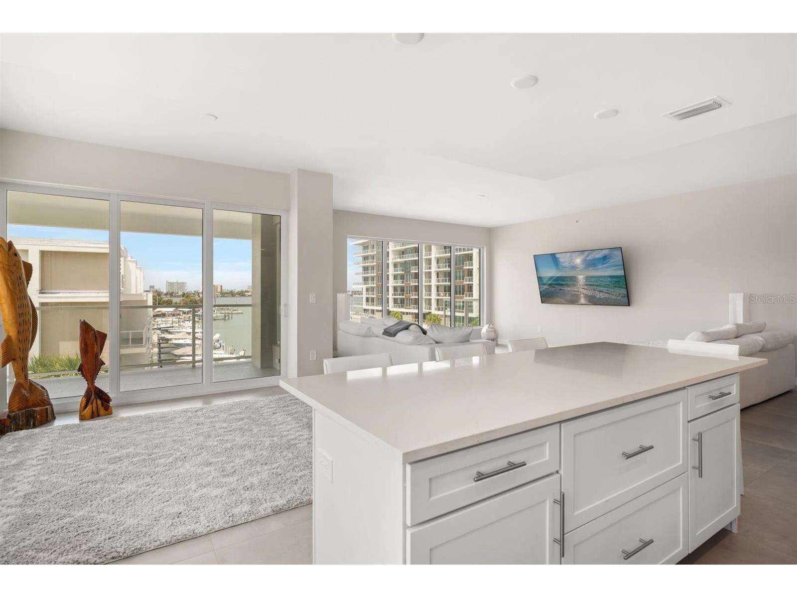 900 N Osceola Avenue #401 Clearwater FL 33755 TB8500267 image31