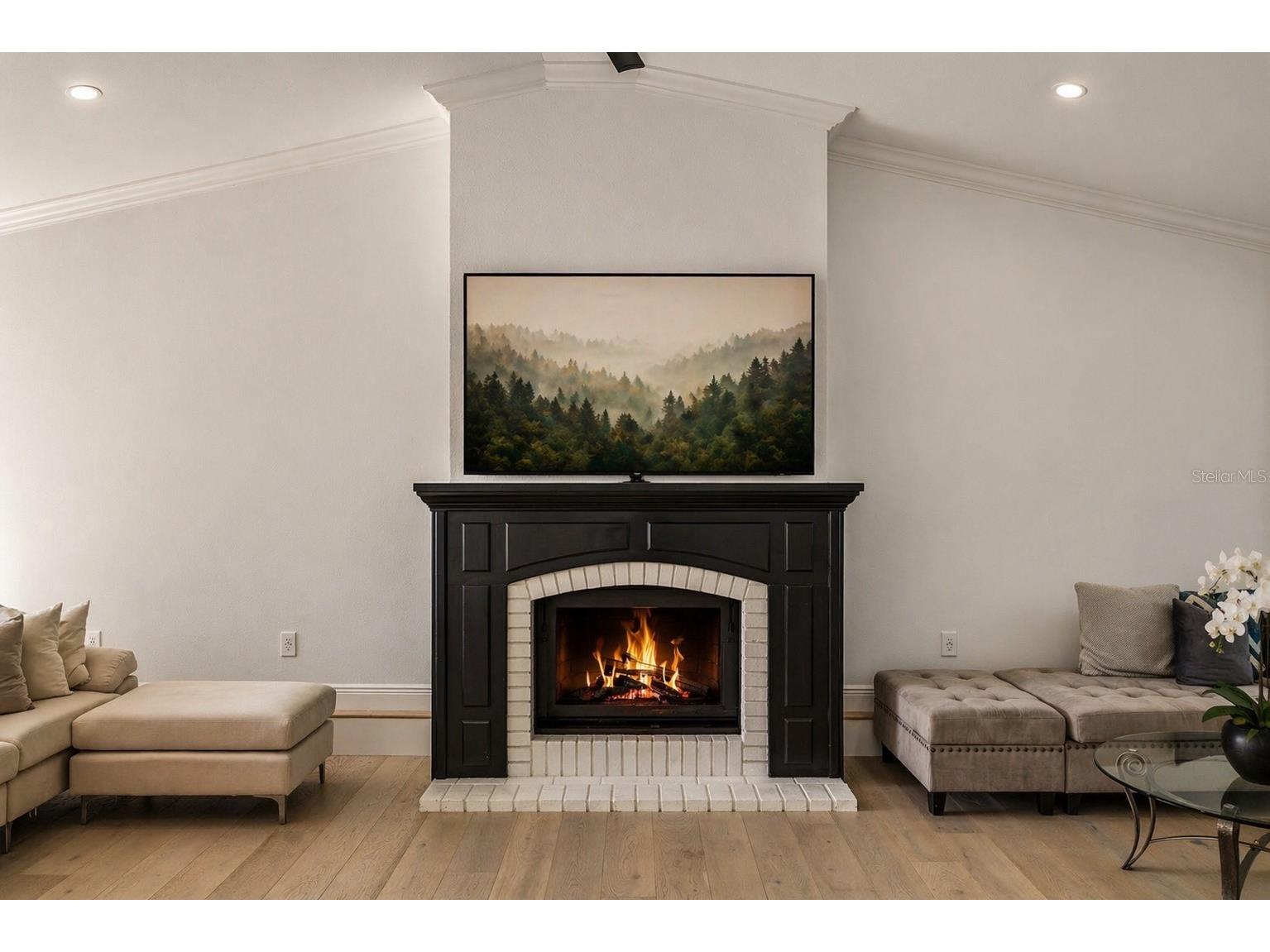 900 Oak Hollow Place Brandon FL 33510 TB8497365 image4