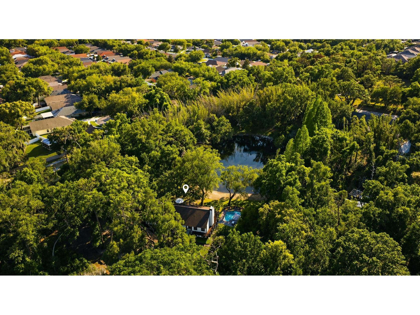 900 Oak Hollow Place Brandon FL 33510 TB8497365 image77