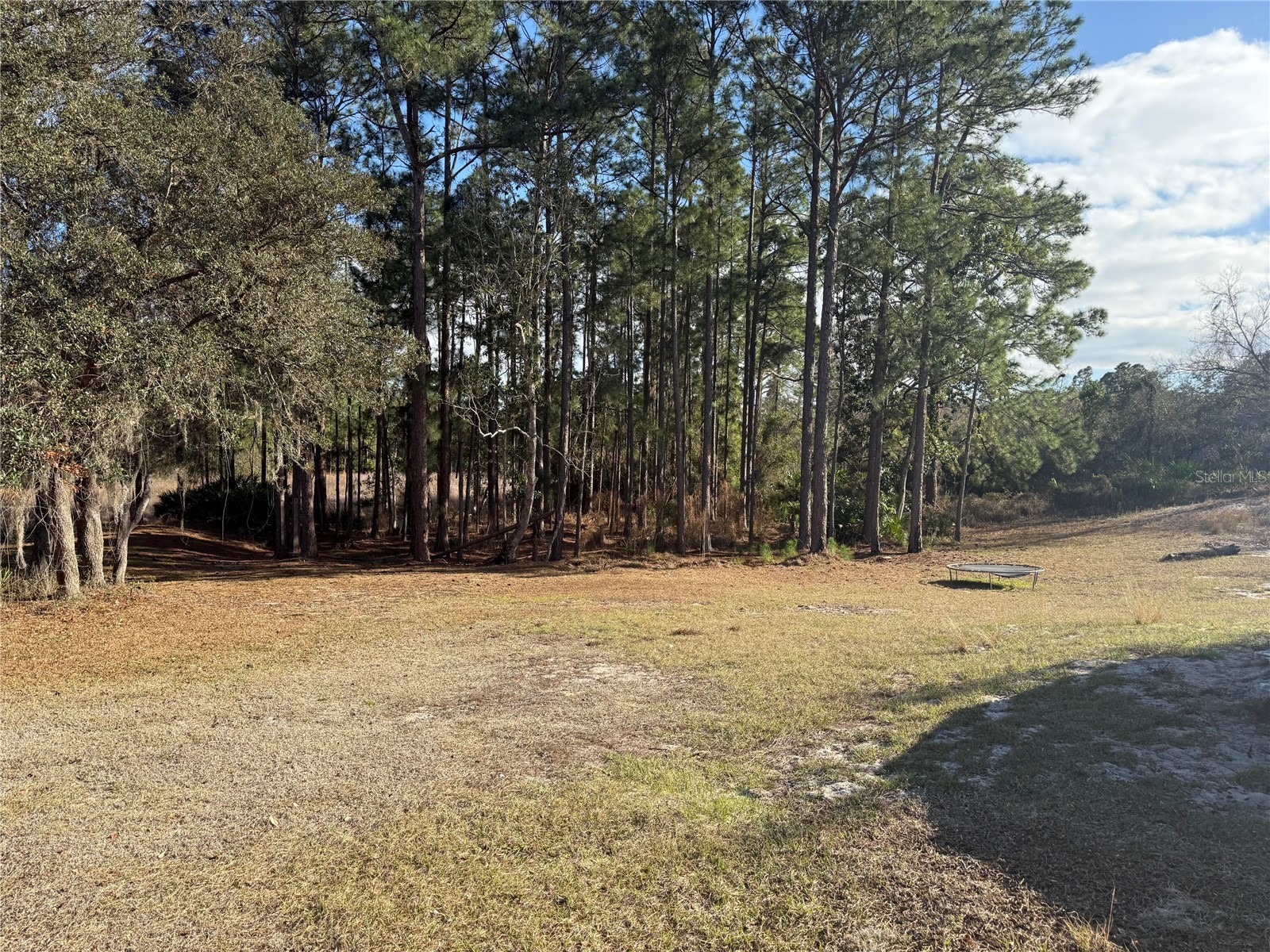 900 Racoon Trail Frostproof FL 33843 O6384265 image2