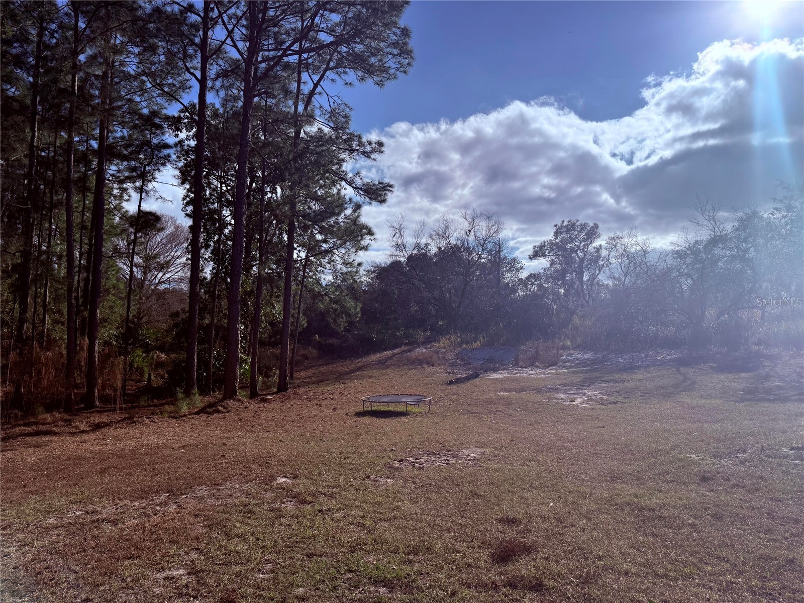 900 Racoon Trail Frostproof FL 33843 O6384265 image3