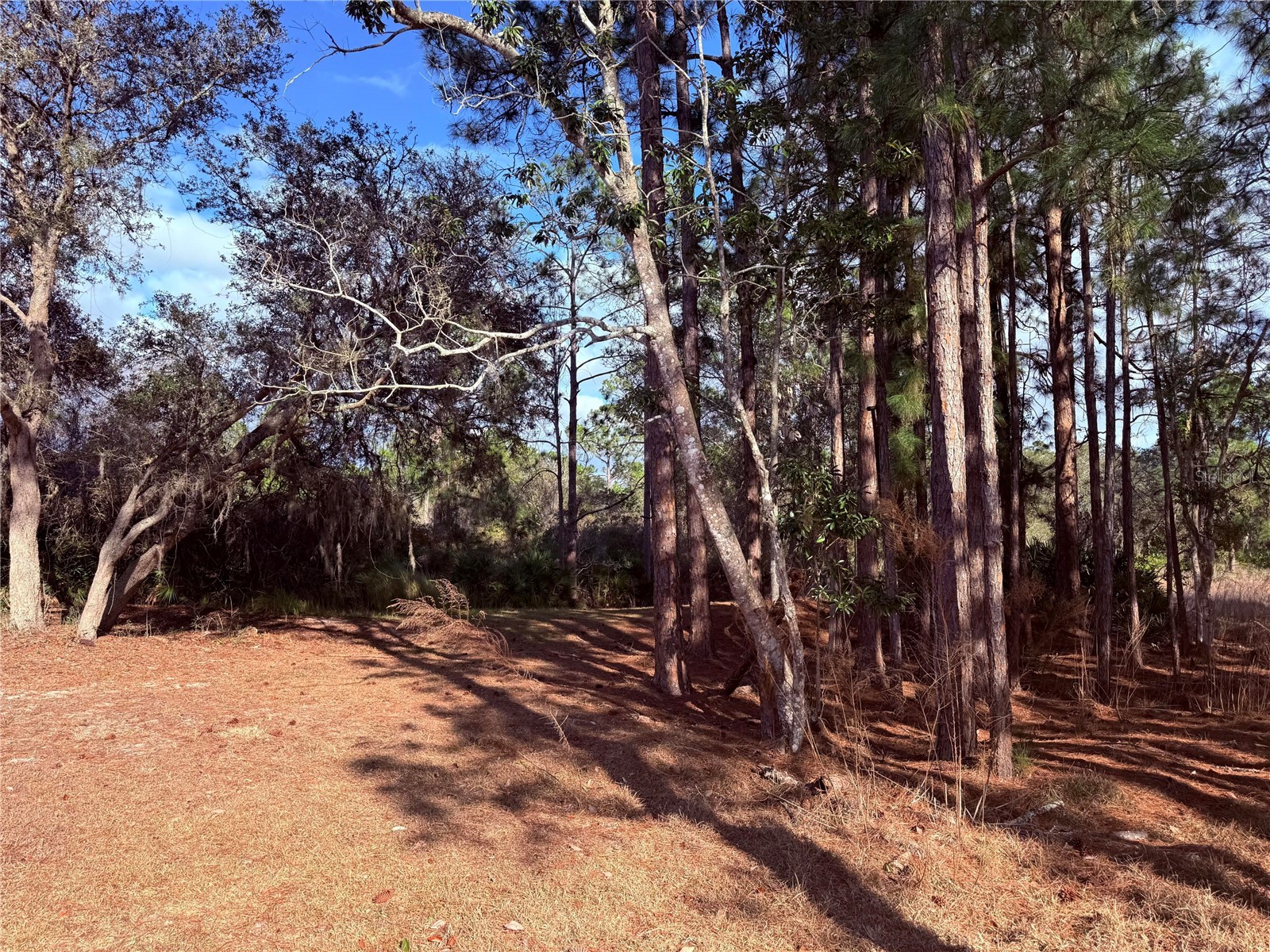900 Racoon Trail Frostproof FL 33843 O6384265 image4