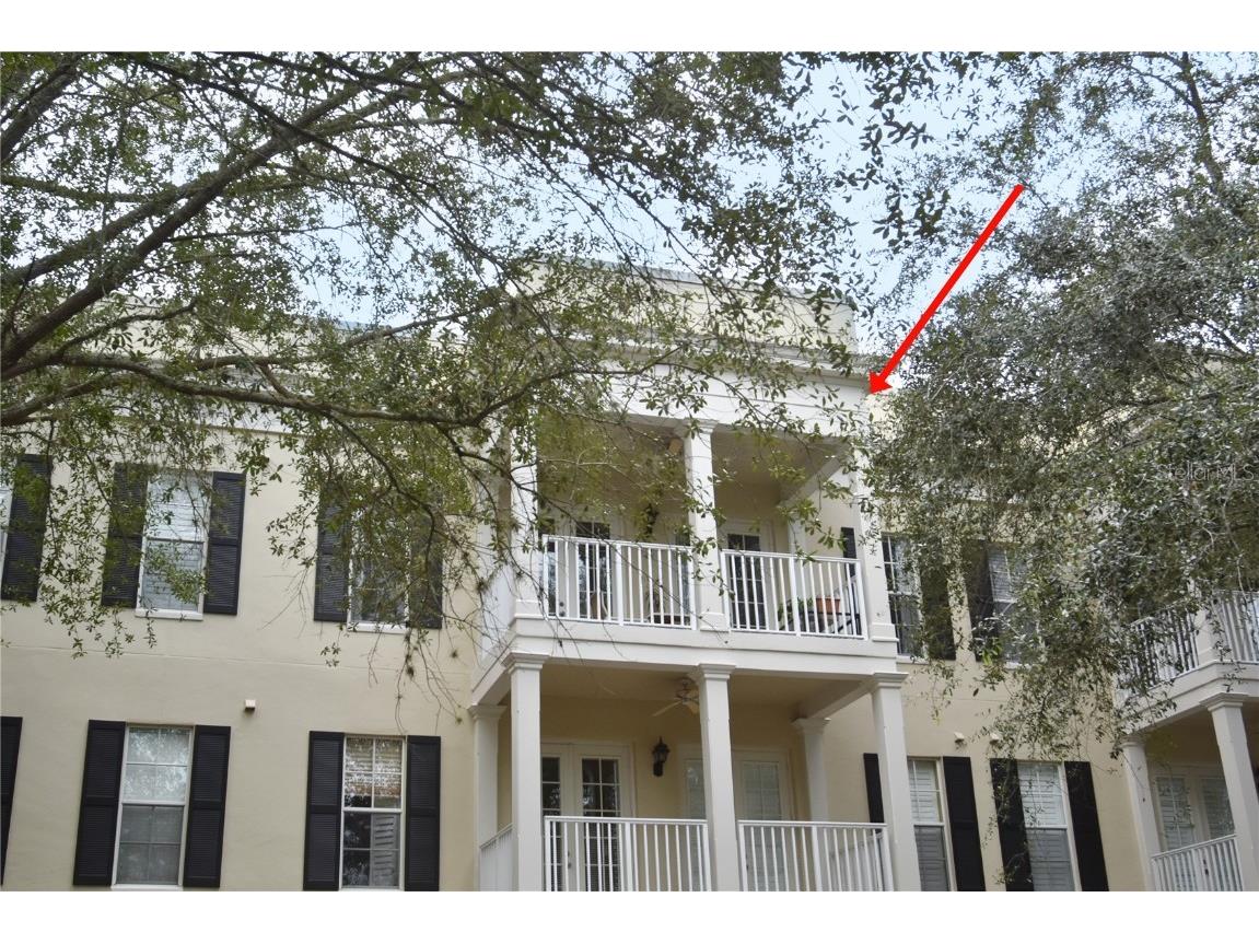 900 Spring Park Street #303 Celebration FL 34747 S5113668 image1