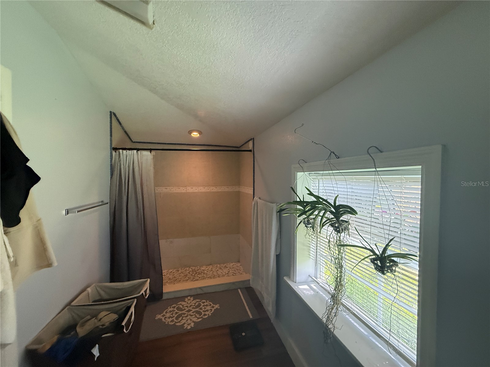 900 Timor Avenue Orlando FL 32804 O6408873 image26
