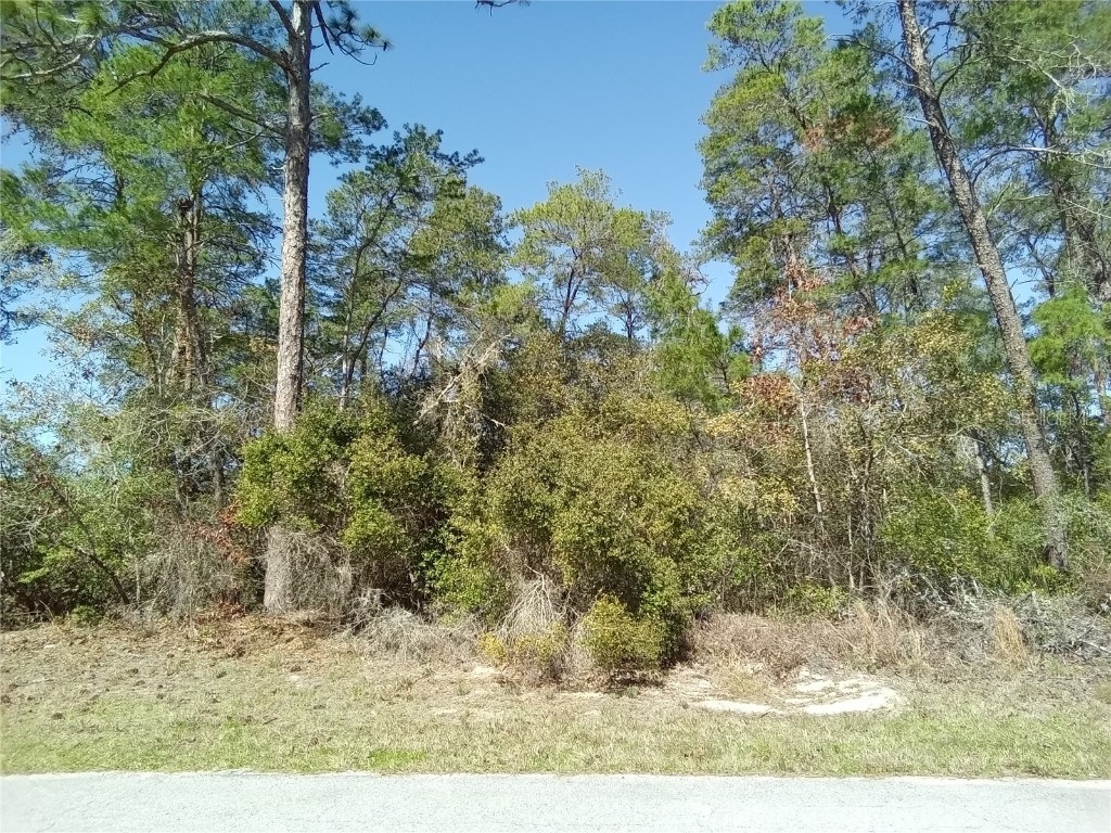 9000 N Lansen Way Citrus Springs FL 34434 OM679997 image1