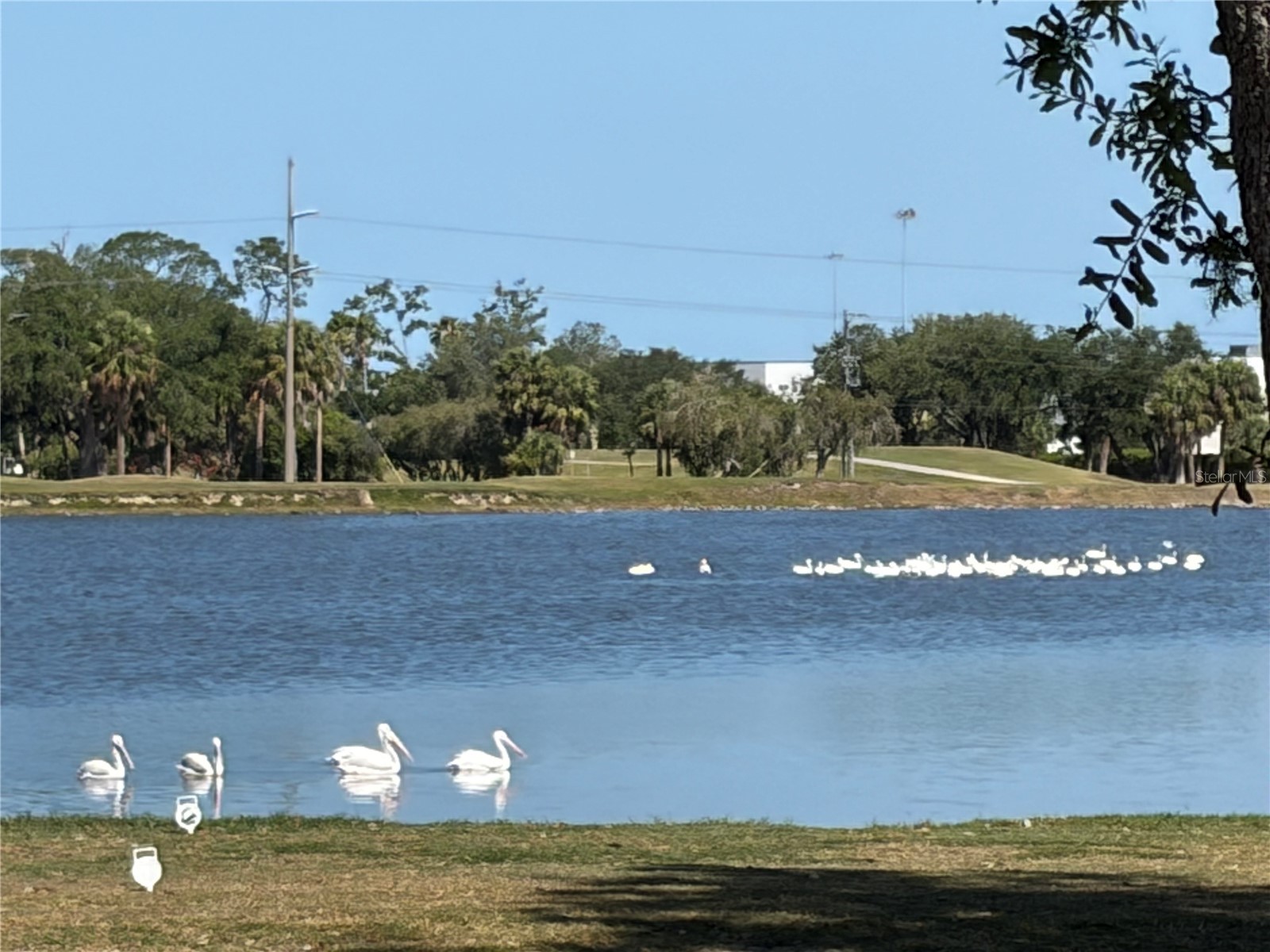 9001 69th Avenue E Palmetto FL 34221 A4696014 image52