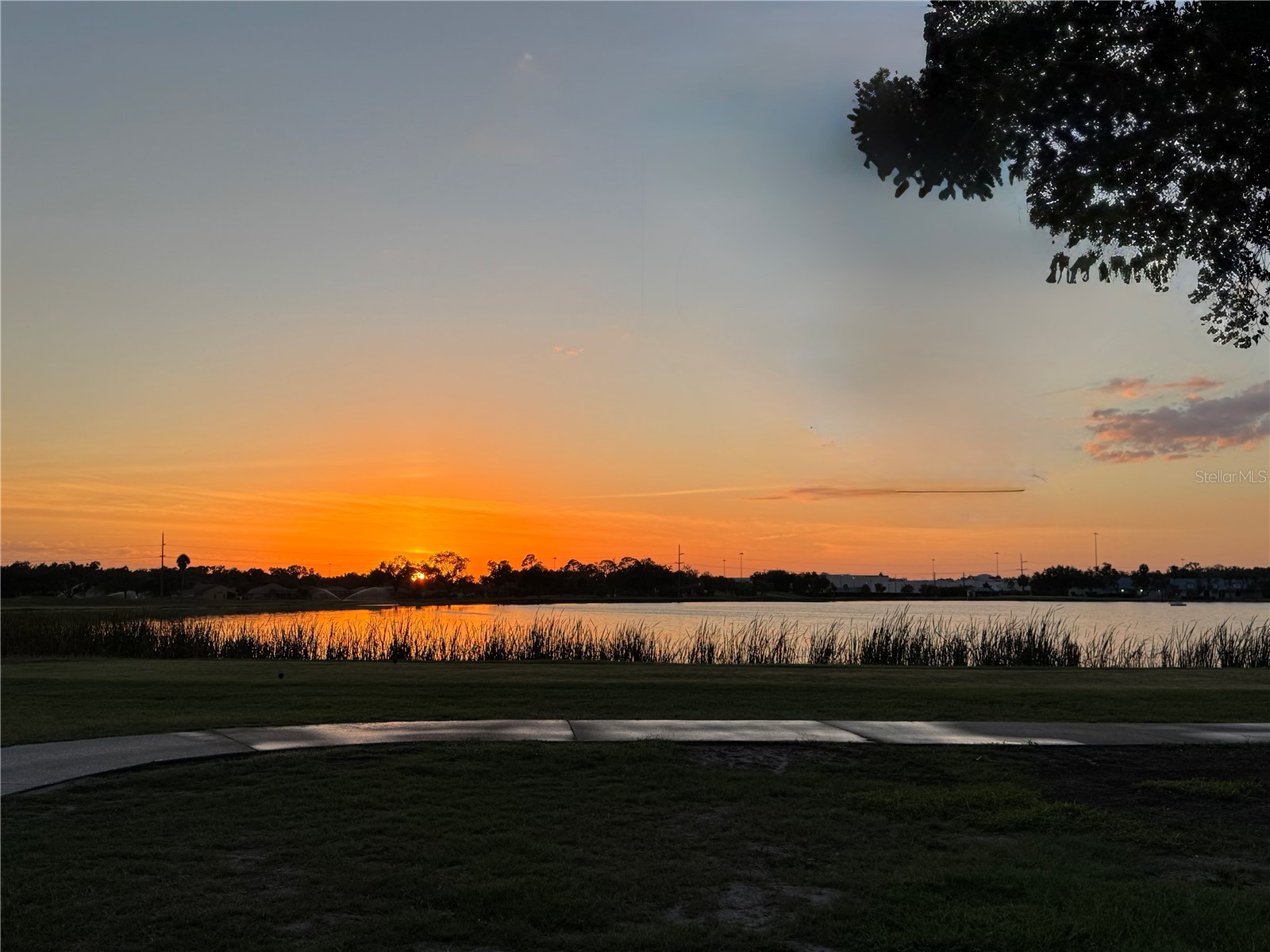 9001 69th Avenue E Palmetto FL 34221 A4696014 image53