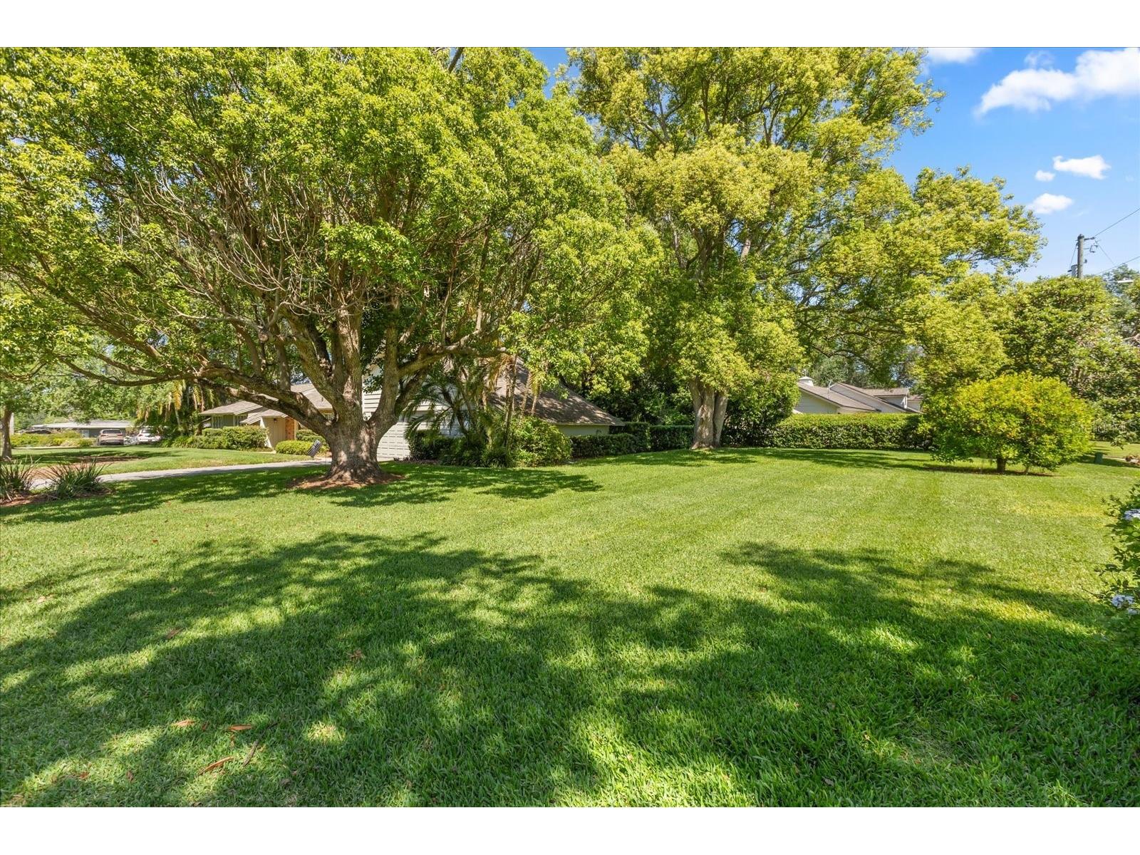 9001 Lake Charity Drive Maitland FL 32751 O6405361 image22