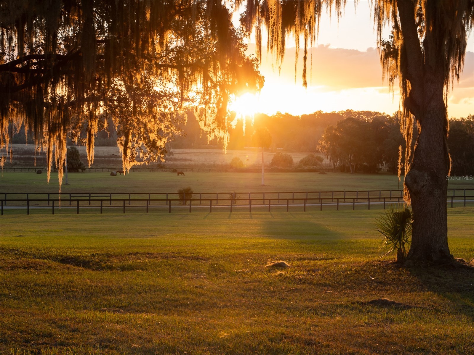 9001 NW 200th Street Road Micanopy FL 32667 OM691308 image32