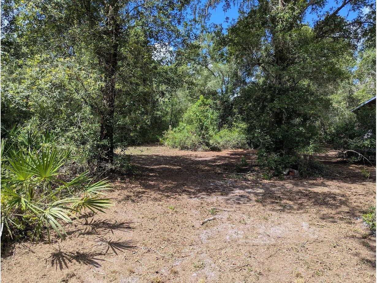 9001 Treiman Boulevard Webster FL 33597 W7868410 image10