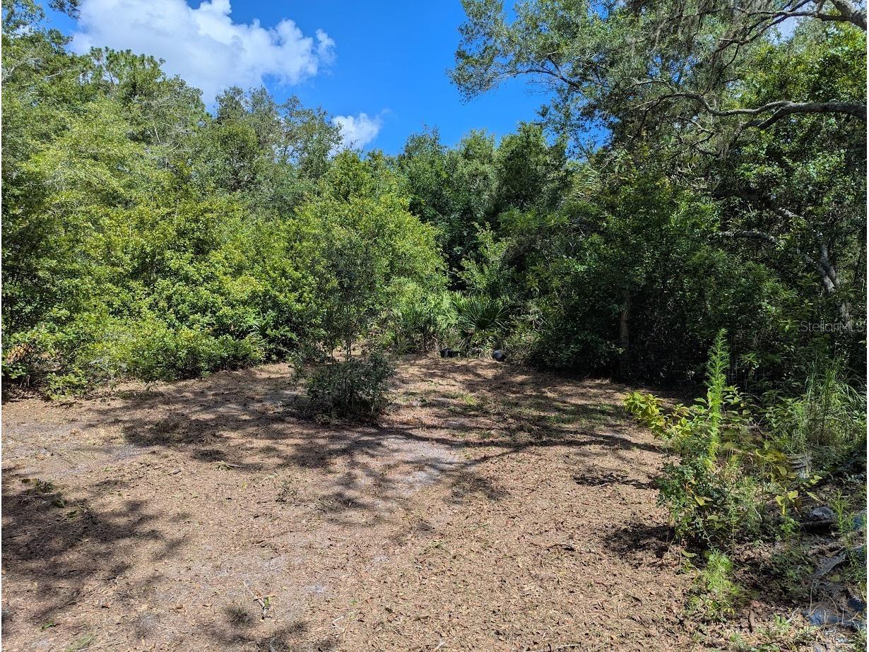 9001 Treiman Boulevard Webster FL 33597 W7868410 image11